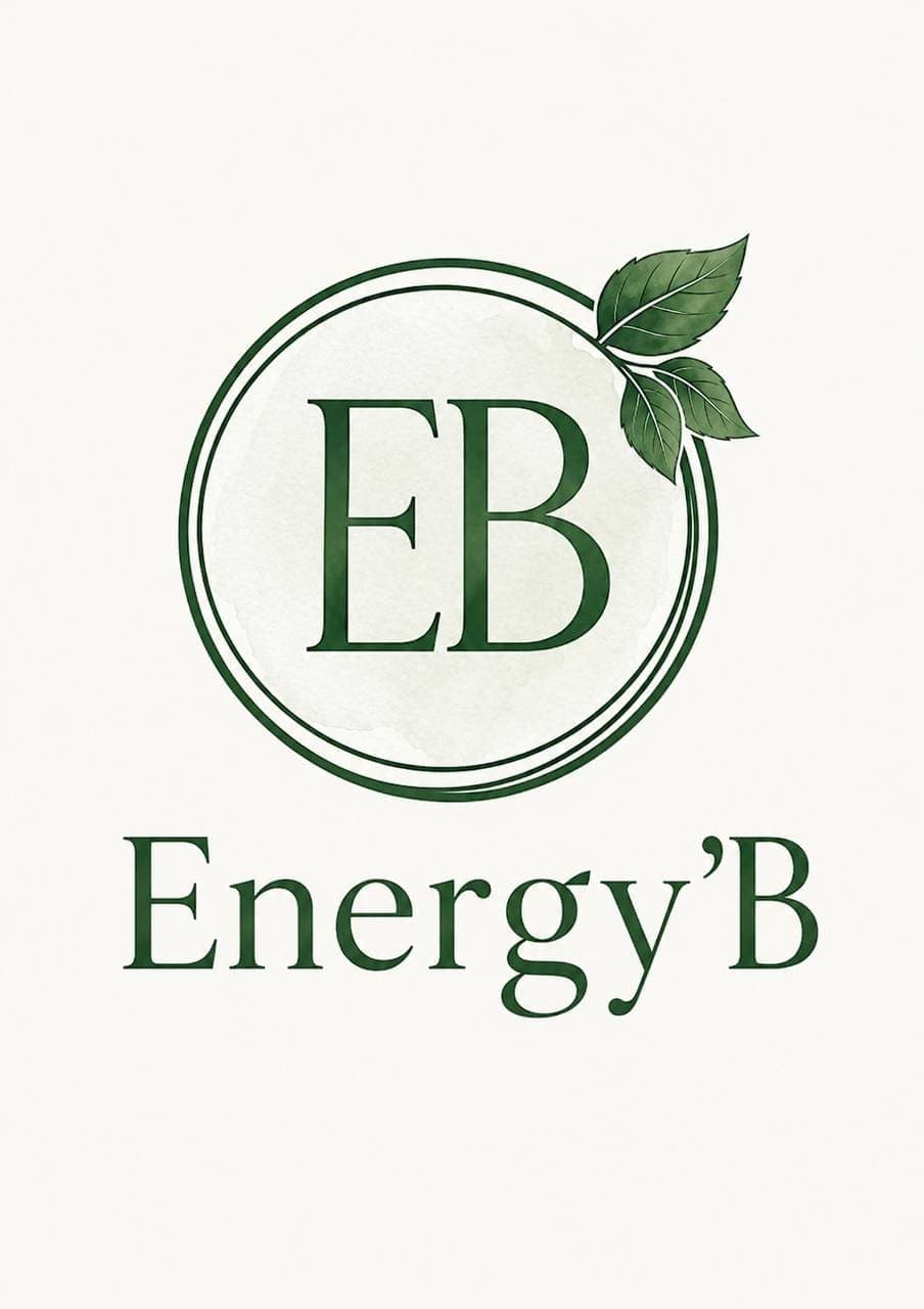 Logo Energy'B